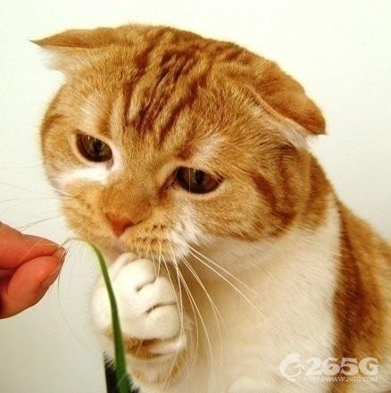 ޴డ~˵