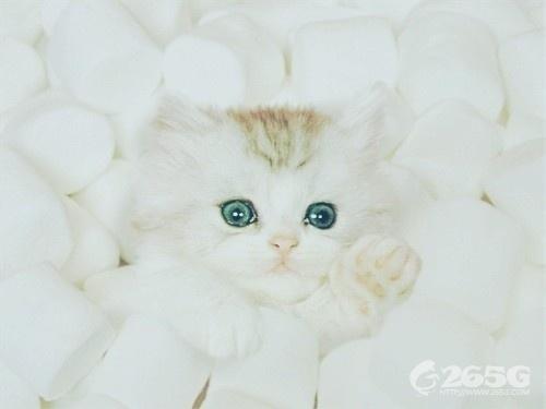 ޴డ~˵