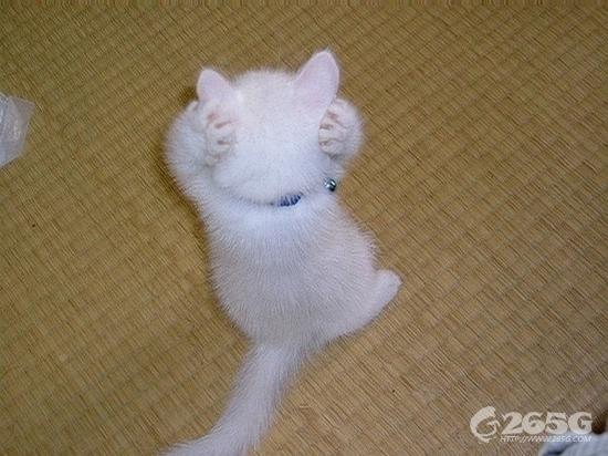 ޴డ~˵