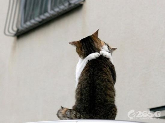 ޴డ~˵