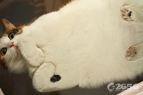 ޴డ~˵