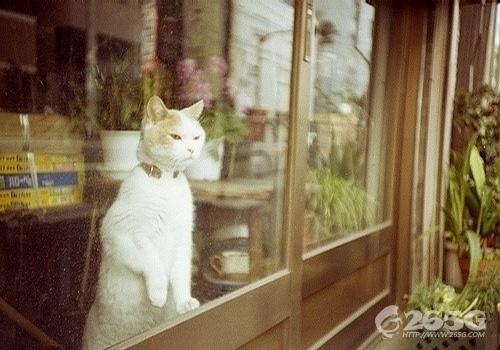 ޴డ~˵