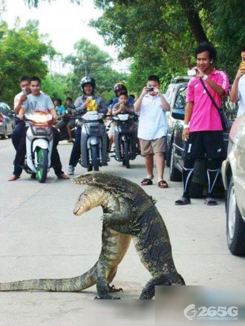 ڸùѼɽͼ