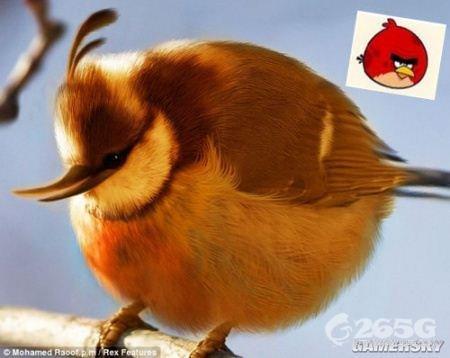 ŭС