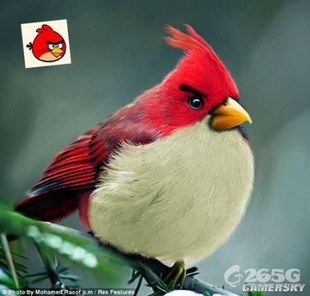 ŭС