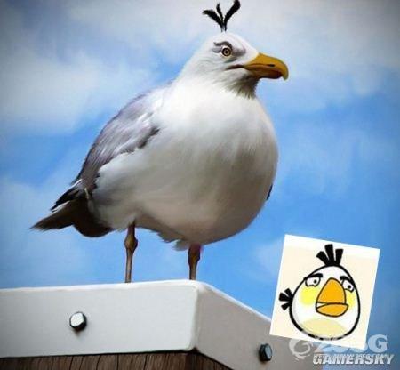 ŭС