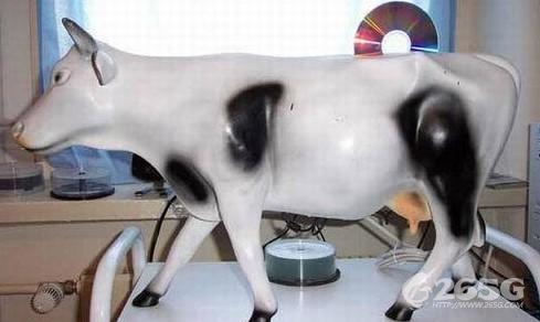 լϮ ûмĻ